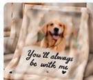 Pet Memorial